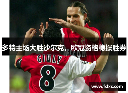 多特主场大胜沙尔克，欧冠资格稳操胜券